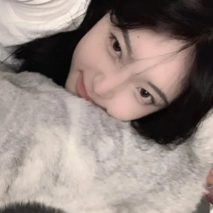 我的天才女友第二季